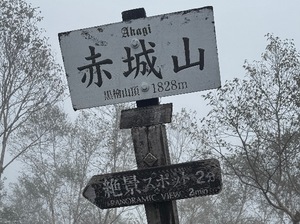 Machi Katsuragiの写メ日記|エレガント 川崎高級店ソープ