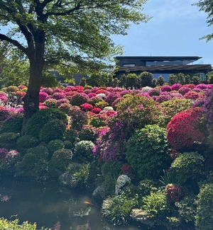Mae Yashiroの写メ日記｜エレガント 川崎高級店ソープ