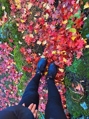 Mae Yashiroの写メ日記｜エレガント 川崎堀之内高級店ソープ