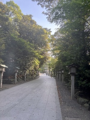 Yu Shiraneの写メ日記｜エレガント 川崎高級店ソープ