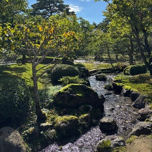 Yu Shiraneの写メ日記｜エレガント 川崎高級店ソープ