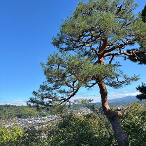 Yu Shiraneの写メ日記｜エレガント 川崎高級店ソープ