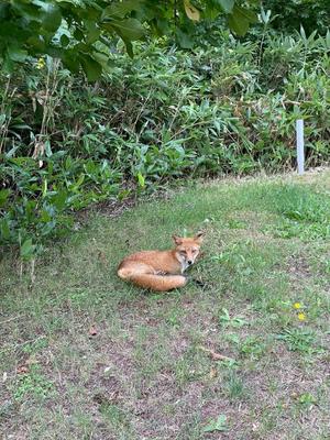 Emi Terasawaの写メ日記｜エレガント 川崎高級店ソープ