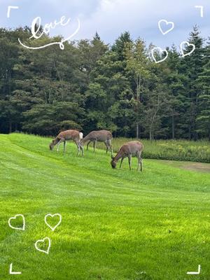 Emi Terasawaの写メ日記｜エレガント 川崎高級店ソープ