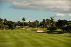 Emi Terasawaの写メ日記|エレガント 川崎高級店ソープ