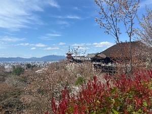 Sanae Himuroの写メ日記｜エレガント 川崎高級店ソープ