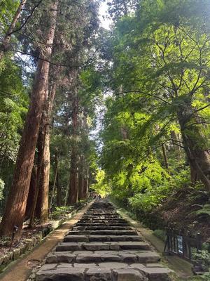 Sanae Himuroの写メ日記|エレガント 川崎高級店ソープ