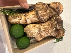 Sanae Himuroの写メ日記|エレガント 川崎高級店ソープ