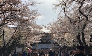 Ayami Imaiの写メ日記｜エレガント 川崎高級店ソープ