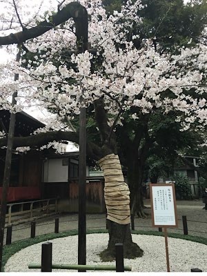 Ayami Imaiの写メ日記｜エレガント 川崎高級店ソープ