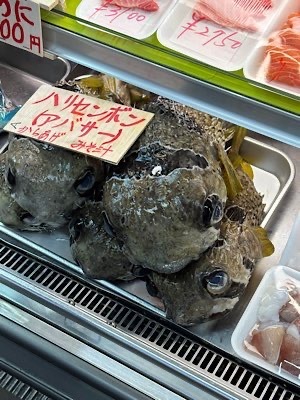 Ayami Imaiの写メ日記｜エレガント 川崎高級店ソープ