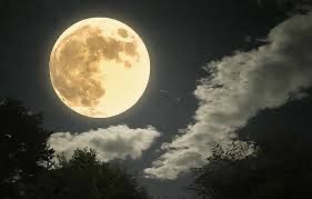 Ayami Imaiの写メ日記|エレガント 川崎高級店ソープ