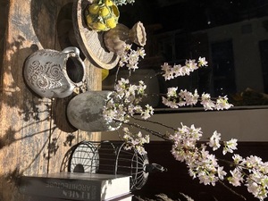 Risa Yuukiの写メ日記｜エレガント 川崎高級店ソープ