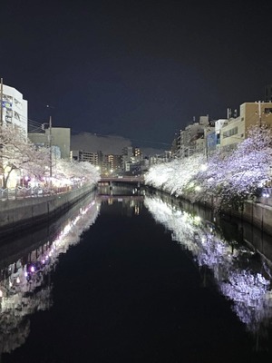 Natsuki Amamiyaの写メ日記｜エレガント 川崎高級店ソープ