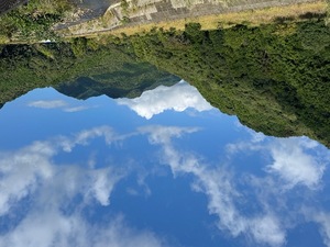 Rin Izumiの写メ日記｜エレガント 川崎高級店ソープ