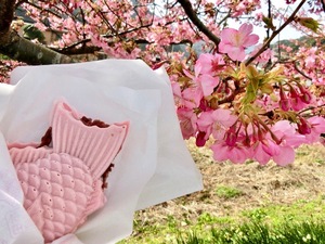 Shizuku Tsukinoの写メ日記｜エレガント 川崎高級店ソープ