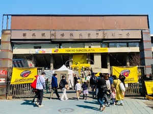 Shizuku Tsukinoの写メ日記｜エレガント 川崎高級店ソープ