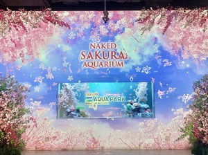 Shizuku Tsukinoの写メ日記｜エレガント 川崎高級店ソープ