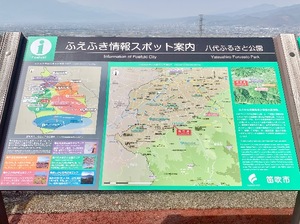 Shizuku Tsukinoの写メ日記｜エレガント 川崎高級店ソープ