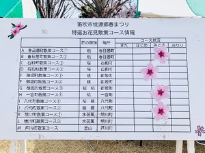 Shizuku Tsukinoの写メ日記｜エレガント 川崎高級店ソープ