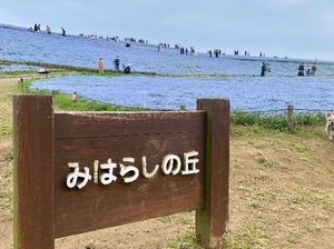 Shizuku Tsukinoの写メ日記｜エレガント 川崎高級店ソープ