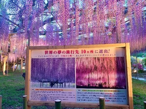 Shizuku Tsukinoの写メ日記｜エレガント 川崎高級店ソープ