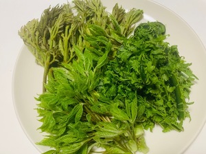 Shizuku Tsukinoの写メ日記｜エレガント 川崎高級店ソープ