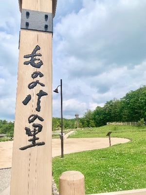 Shizuku Tsukinoの写メ日記｜エレガント 川崎高級店ソープ