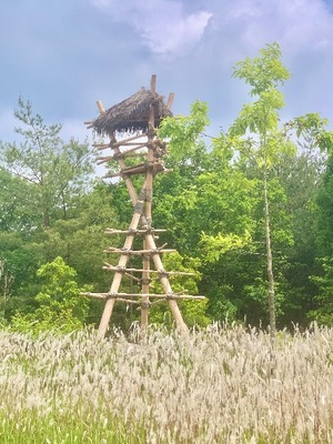 Shizuku Tsukinoの写メ日記｜エレガント 川崎高級店ソープ