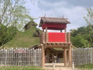 Shizuku Tsukinoの写メ日記｜エレガント 川崎高級店ソープ