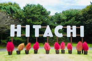 Shizuku Tsukinoの写メ日記｜エレガント 川崎堀之内高級店ソープ