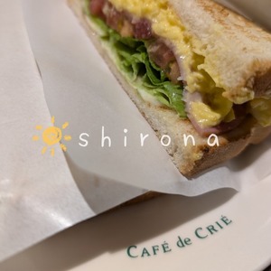 Shironaの写メ日記｜プレミアム 川崎高級店ソープ