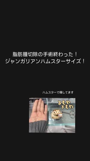 りさの写メ日記｜VIP～ビップ～ 川崎堀之内高級店ソープ